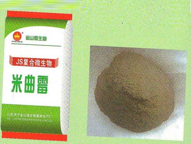 點(diǎn)擊查看詳細(xì)信息<br>標(biāo)題：米曲霉 閱讀次數(shù)：2207